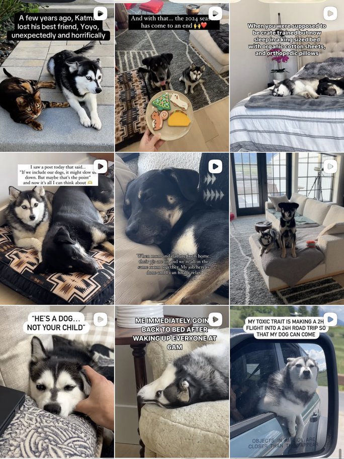 Katmai Instagram profile grid